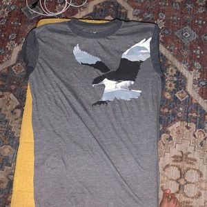 American eagle T